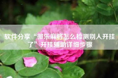 软件分享“微乐麻将怎么检测别人开挂了	”开挂辅助详细步骤