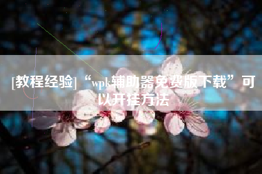 [教程经验]“wpk辅助器免费版下载	”可以开挂方法
