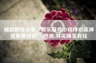 辅助教程分享“微乐麻将小程序必赢神器免费安装”(透视)其实确实有挂