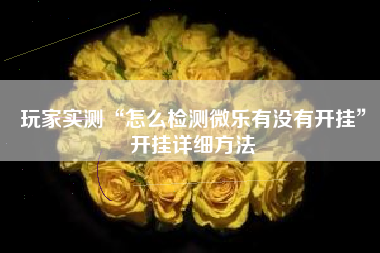 玩家实测“怎么检测微乐有没有开挂”开挂详细方法