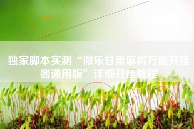 独家脚本实测“微乐甘肃麻将万能开挂器通用版	”详细开挂教程