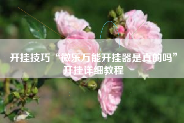开挂技巧“微乐万能开挂器是真的吗	”开挂详细教程