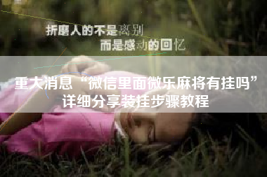 重大消息“微信里面微乐麻将有挂吗”详细分享装挂步骤教程