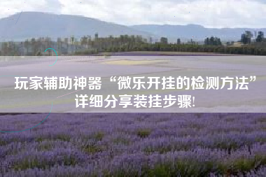 玩家辅助神器“微乐开挂的检测方法”详细分享装挂步骤!