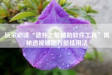 玩家必读“德扑之星辅助软件工具	”揭秘透视辅助万能挂用法