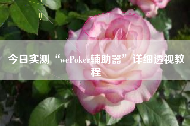 今日实测“wePoker辅助器	”详细透视教程