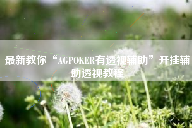 最新教你“AGPOKER有透视辅助”开挂辅助透视教程