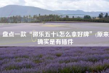 盘点一款“微乐五十k怎么拿好牌”(原来确实是有插件