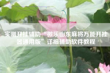 实测开挂辅助“微乐山东麻将万能开挂器通用版”详细辅助软件教程