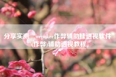 分享实测“wepoker作弊辅助挂透视软件”(作弊)辅助透视教程