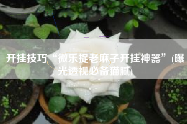 开挂技巧“微乐捉老麻子开挂神器”(曝光透视必备猫腻)