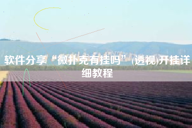 软件分享“微扑克有挂吗”(透视)开挂详细教程