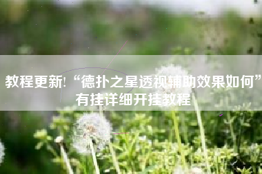 教程更新!“德扑之星透视辅助效果如何”有挂详细开挂教程