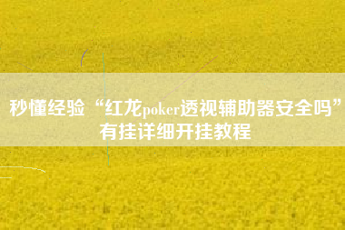秒懂经验“红龙poker透视辅助器安全吗”有挂详细开挂教程
