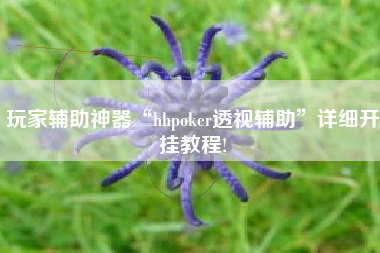 玩家辅助神器“hhpoker透视辅助”详细开挂教程!