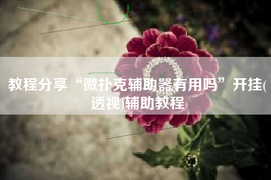 教程分享“微扑克辅助器有用吗	”开挂(透视)辅助教程