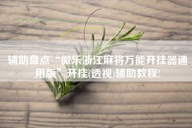 辅助盘点“微乐浙江麻将万能开挂器通用版	”开挂(透视)辅助教程!