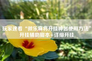 玩家速看“微乐麻将开挂神器使用方法”开挂辅助脚本+详细开挂