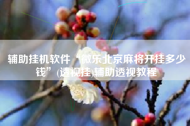 辅助挂机软件“微乐北京麻将开挂多少钱	”(透视挂)辅助透视教程