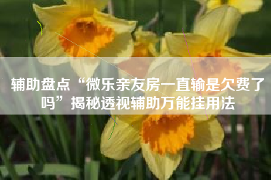 辅助盘点“微乐亲友房一直输是欠费了吗”揭秘透视辅助万能挂用法
