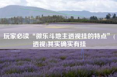 玩家必读“微乐斗地主透视挂的特点	”(透视)其实确实有挂