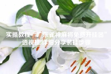 实操教程“广东雀神麻将免费开挂器”透视挂!详细分享装挂步骤