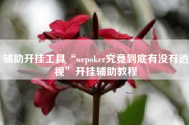 辅助开挂工具“wepoker究竟到底有没有透视”开挂辅助教程