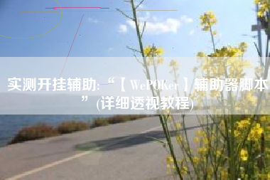 实测开挂辅助:“【WePOKer】辅助器脚本	”(详细透视教程)