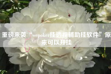 重磅来袭“wepoker挂透视辅助挂软件”原来可以开挂