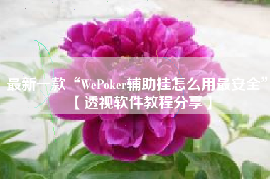 最新一款“WePoker辅助挂怎么用最安全	”【透视软件教程分享】