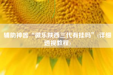 辅助神器“微乐陕西三代有挂吗”(详细透视教程)