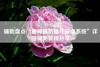 辅助盘点“雀神辅助插件安卓系统”详细辅助教程分享