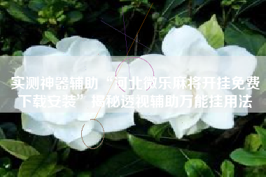 实测神器辅助“河北微乐麻将开挂免费下载安装	”揭秘透视辅助万能挂用法