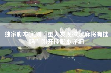 独家脚本实测“重大发现微乐麻将有挂吗”附开挂脚本详细