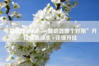今日教程“WePoker辅助器哪个好用”开挂辅助脚本+详细开挂