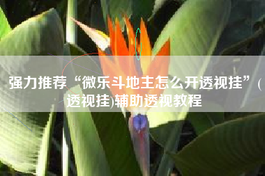 强力推荐“微乐斗地主怎么开透视挂	”(透视挂)辅助透视教程