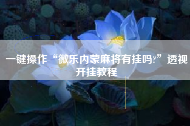 一键操作“微乐内蒙麻将有挂吗?”透视开挂教程