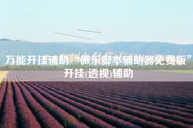 万能开挂辅助“微乐脚本辅助器免费版”开挂(透视)辅助