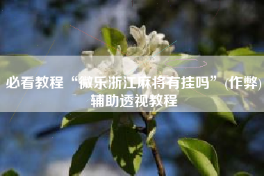 必看教程“微乐浙江麻将有挂吗”(作弊)辅助透视教程