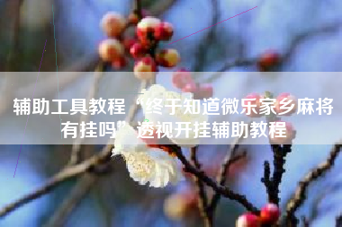 辅助工具教程“终于知道微乐家乡麻将有挂吗”透视开挂辅助教程