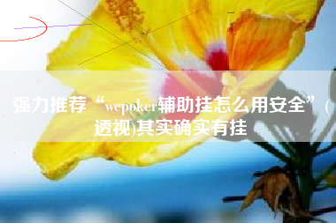 强力推荐“wepoker辅助挂怎么用安全”(透视)其实确实有挂