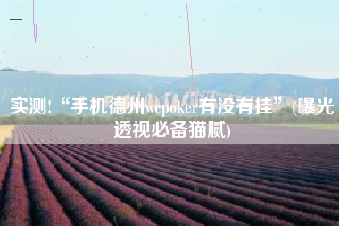 实测!“手机德州wepoker有没有挂”(曝光透视必备猫腻)