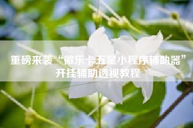 重磅来袭“微乐卡五星小程序辅助器”开挂辅助透视教程