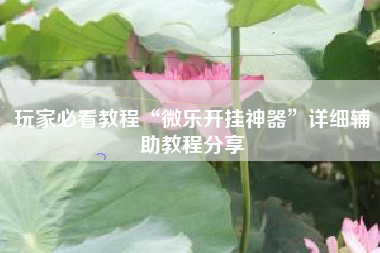 玩家必看教程“微乐开挂神器	”详细辅助教程分享