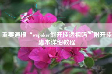 重要通报“wepoker能开挂透视吗	”附开挂脚本详细教程