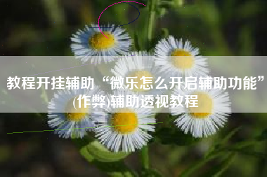 教程开挂辅助“微乐怎么开启辅助功能”(作弊)辅助透视教程