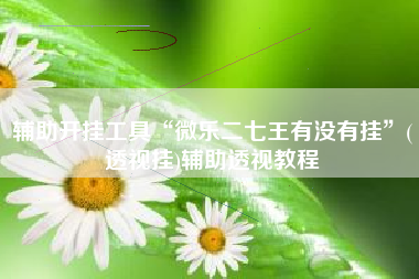 辅助开挂工具“微乐二七王有没有挂	”(透视挂)辅助透视教程