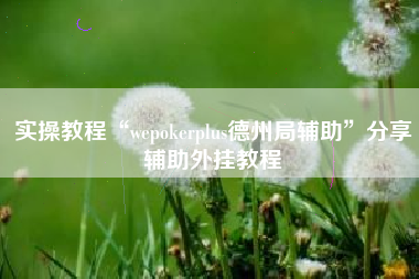 实操教程“wepokerplus德州局辅助”分享辅助外挂教程