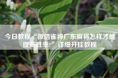今日教程“微信雀神广东麻将怎样才能提高胜率?	”详细开挂教程
