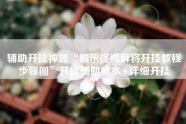 辅助开挂神器“微乐捉鸡麻将开挂教程步骤图”开挂辅助脚本+详细开挂